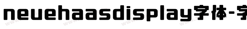 neuehaasdisplay字体字体转换