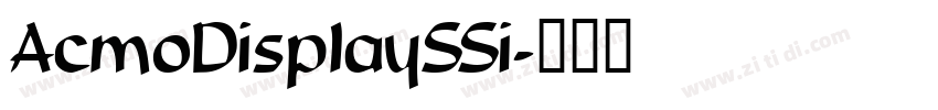 AcmoDisplaySSi字体转换