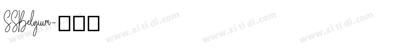 SSBelgium字体转换