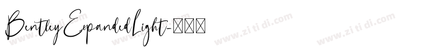 BentleyExpandedLight字体转换