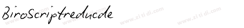BiroScriptreducde字体转换