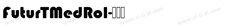 FuturTMedRo1字体转换