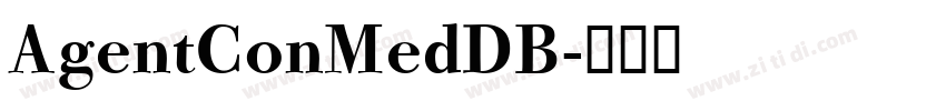 AgentConMedDB字体转换