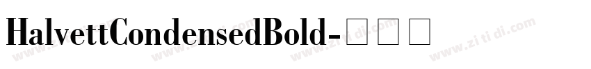 HalvettCondensedBold字体转换