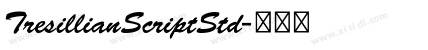 TresillianScriptStd字体转换