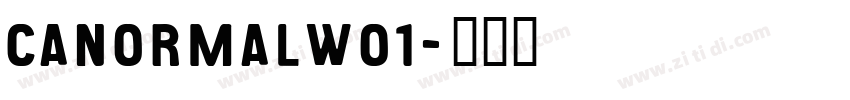 CANormalW01字体转换