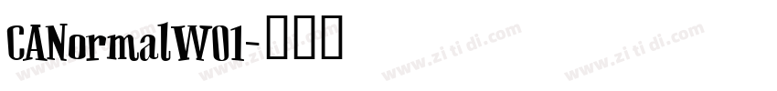 CANormalW01字体转换