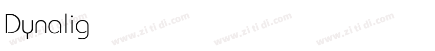 Dynalight字体转换