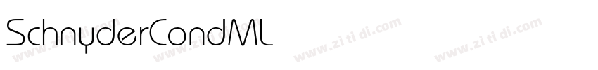 SchnyderCondMLight字体转换