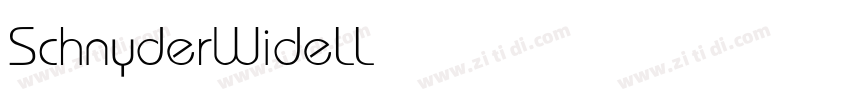 SchnyderWideLLight字体转换