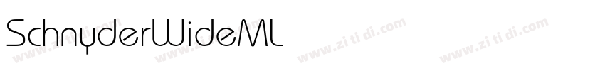 SchnyderWideMLight字体转换
