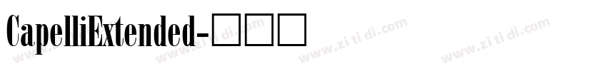 CapelliExtended字体转换