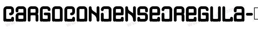 CargoCondensedRegula字体转换