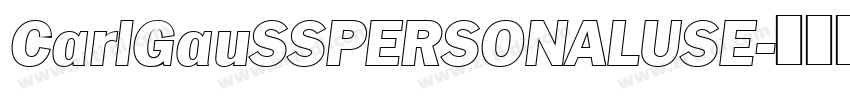 CarlGauSSPERSONALUSE字体转换