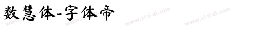 数慧体字体转换
