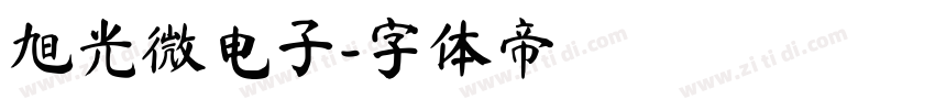 旭光微电子字体转换