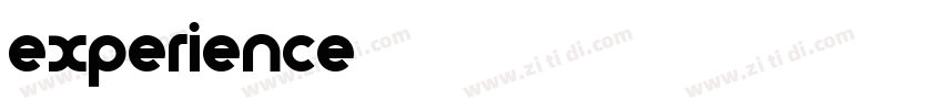 experience字体转换