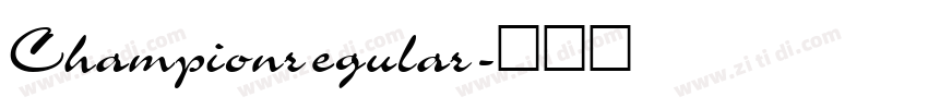 Championregular字体转换
