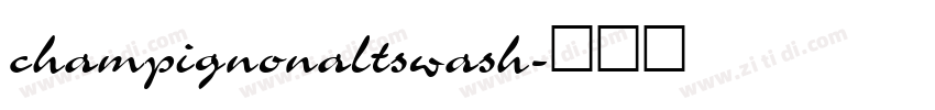 champignonaltswash字体转换