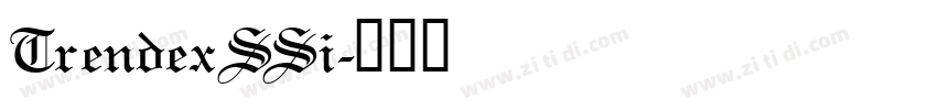 TrendexSSi字体转换