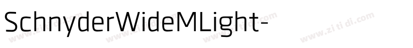 SchnyderWideMLight字体转换