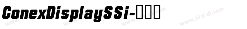 ConexDisplaySSi字体转换