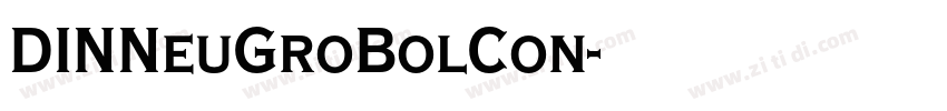 DINNeuGroBolCon字体转换 DINNeuGroBolCon字体转换