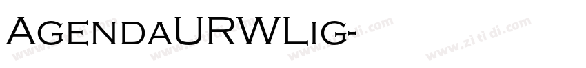 AgendaURWLig字体转换