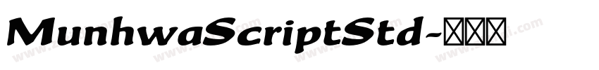 MunhwaScriptStd字体转换