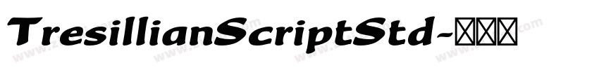 TresillianScriptStd字体转换