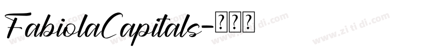 FabiolaCapitals字体转换