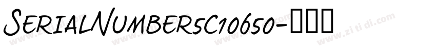 SerialNumber5c10650字体转换