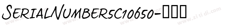 SerialNumber5c10650字体转换