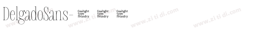 DelgadoSans字体转换