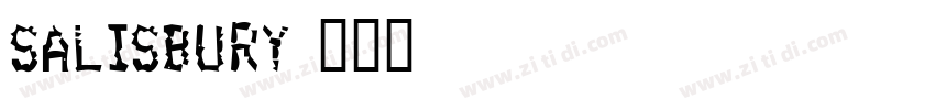 Salisbury字体转换