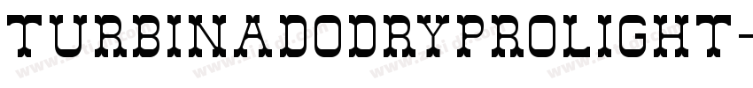 turbinadoDryProLight字体转换