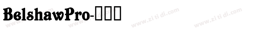 BelshawPro字体转换