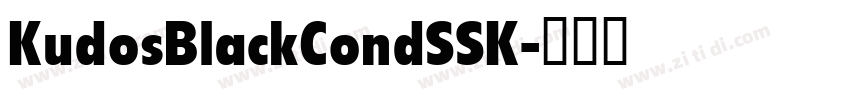 KudosBlackCondSSK字体转换