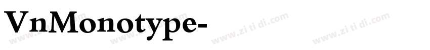 VnMonotype字体转换 VnMonotype字体转换