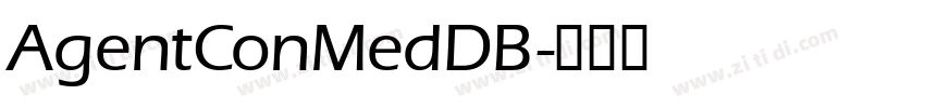 AgentConMedDB字体转换