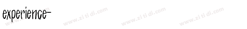 experience字体转换