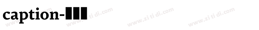 caption字体转换