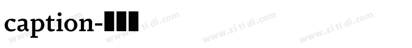 caption字体转换