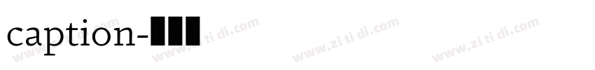 caption字体转换