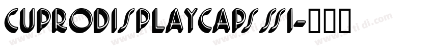 CuproDisplayCapsSSi字体转换
