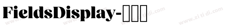 FieldsDisplay字体转换