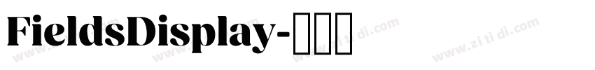 FieldsDisplay字体转换