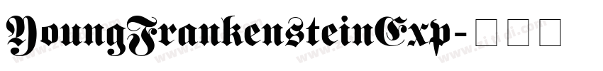 YoungFrankensteinExp字体转换