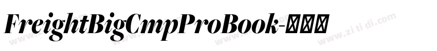FreightBigCmpProBook字体转换