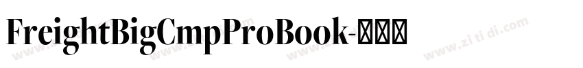 FreightBigCmpProBook字体转换